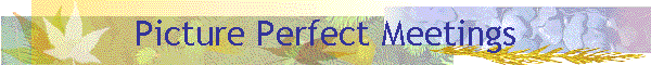 Picture Perfect Meetings